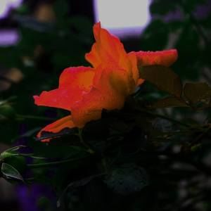 Meet your Posher, Kendall f